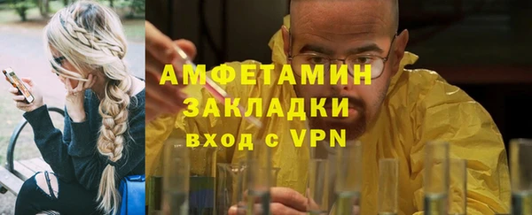 стаф Аркадак