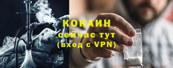 стаф Аркадак