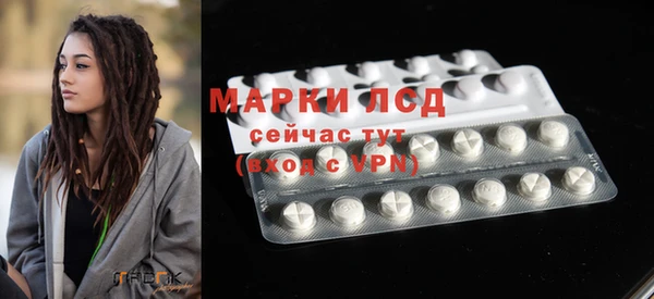 стаф Аркадак