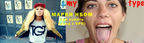 стаф Аркадак