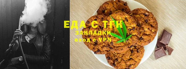 стаф Аркадак