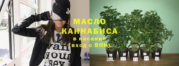 стаф Аркадак